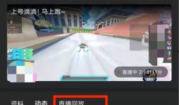 直播回放爆料怎么做视频,视频生成技巧深度解析